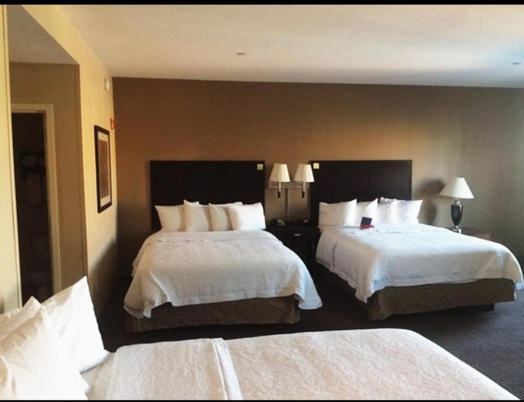 London Guest Room Bagian luar foto